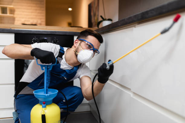 Wasp Removal Services in Shaw, MS